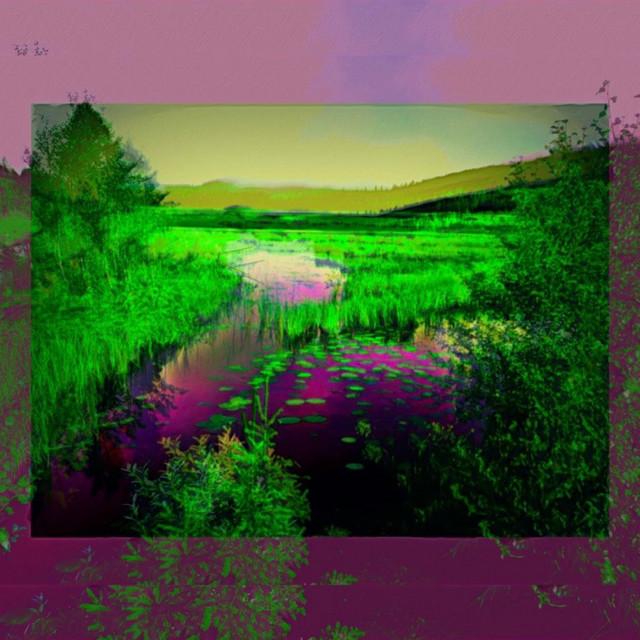 Bog Life album artwork